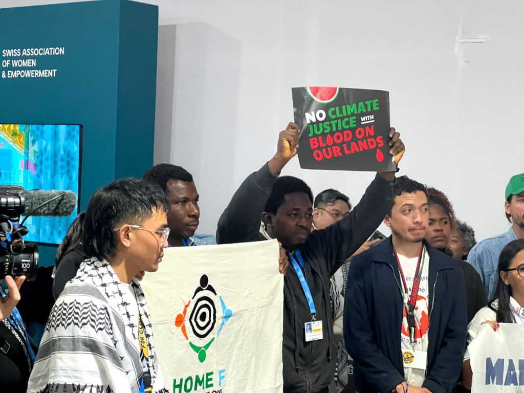 Activists protesting at COP29